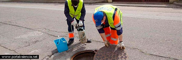 Descontrolada plaga de cucarachas en Valencia con Compromís y PSOE